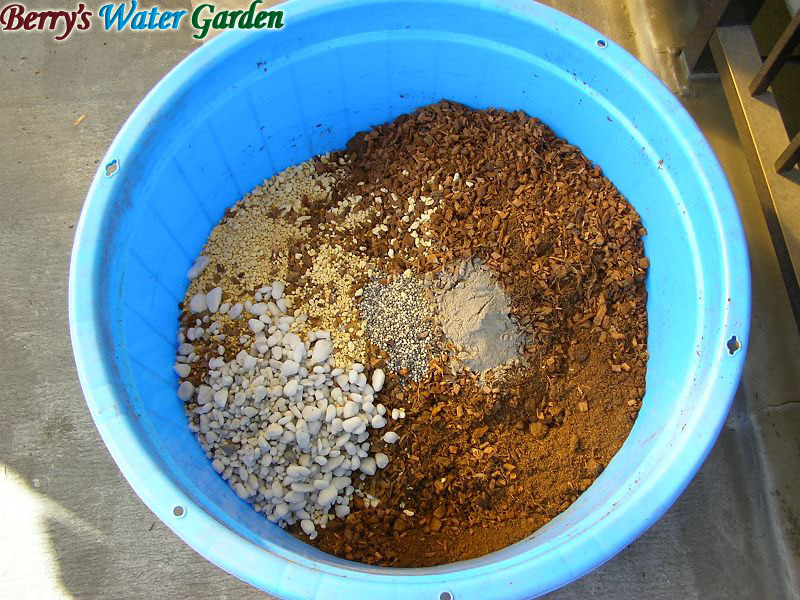 �u���[�x���[�̔�����