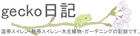 gecko���L