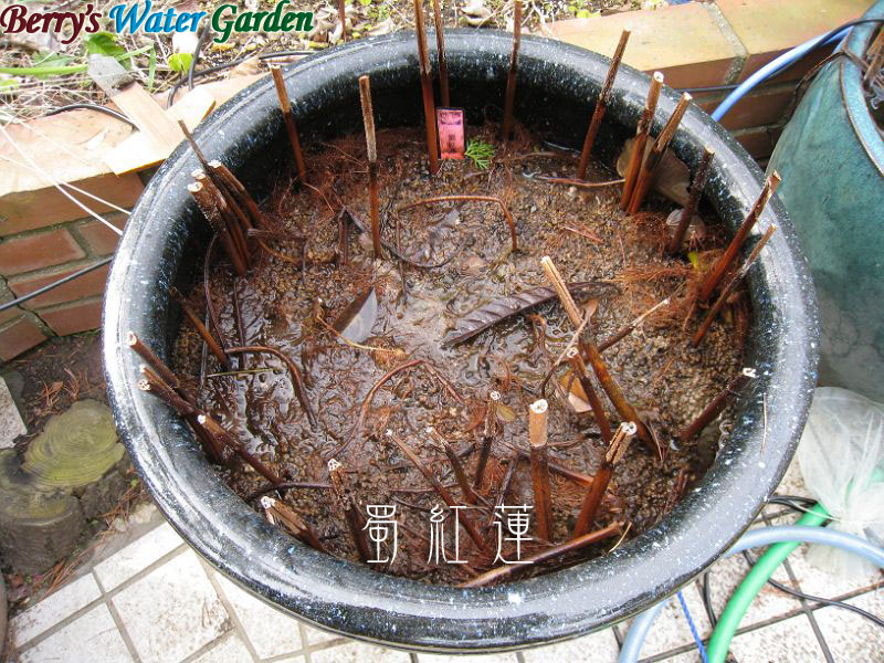 �Ԙ@�̐A���ւ�