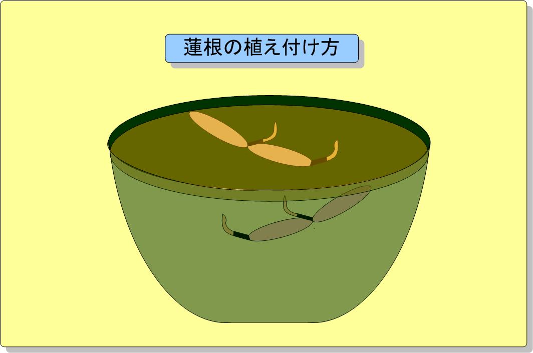 �Ԙ@�̐A���t��