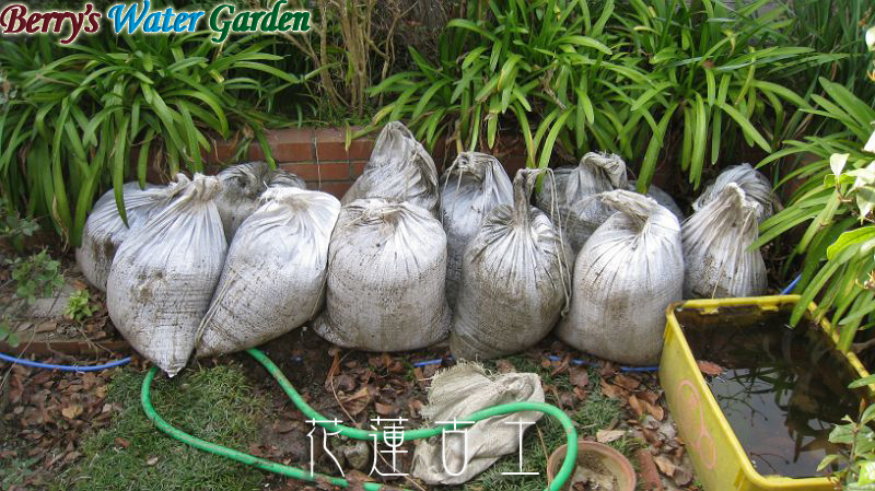 �p�y�̃��T�C�N��