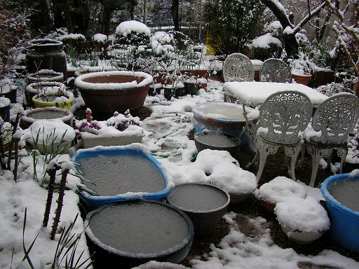 �M�уX�C�����̉z�~�@