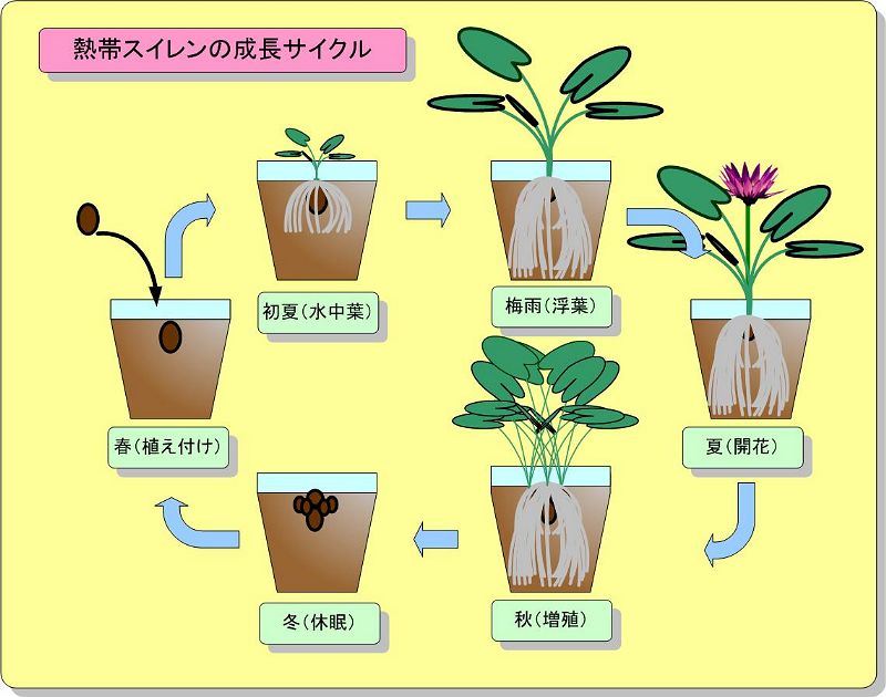 �M�уX�C�����̐��烂�[�h�ɂ���