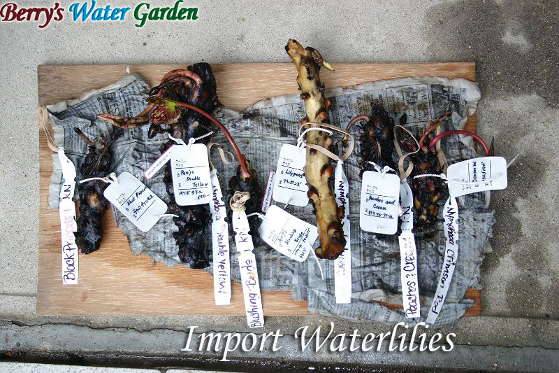 ��01��@�l�A��