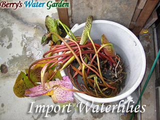 ��03��@�l�A��