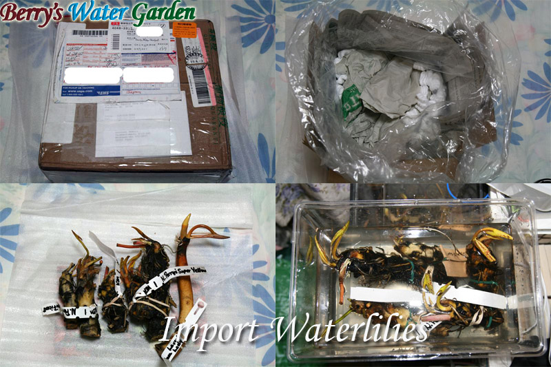 ��04��@�l�A��