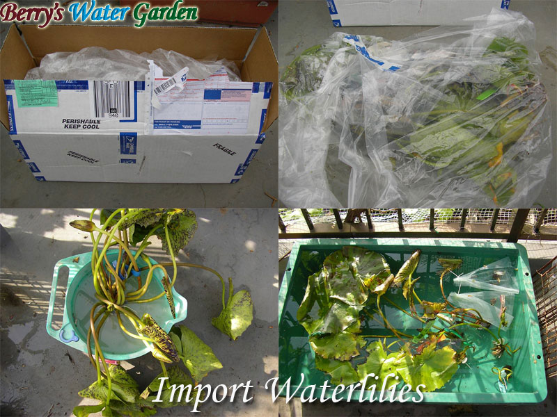 ��05��@�l�A��