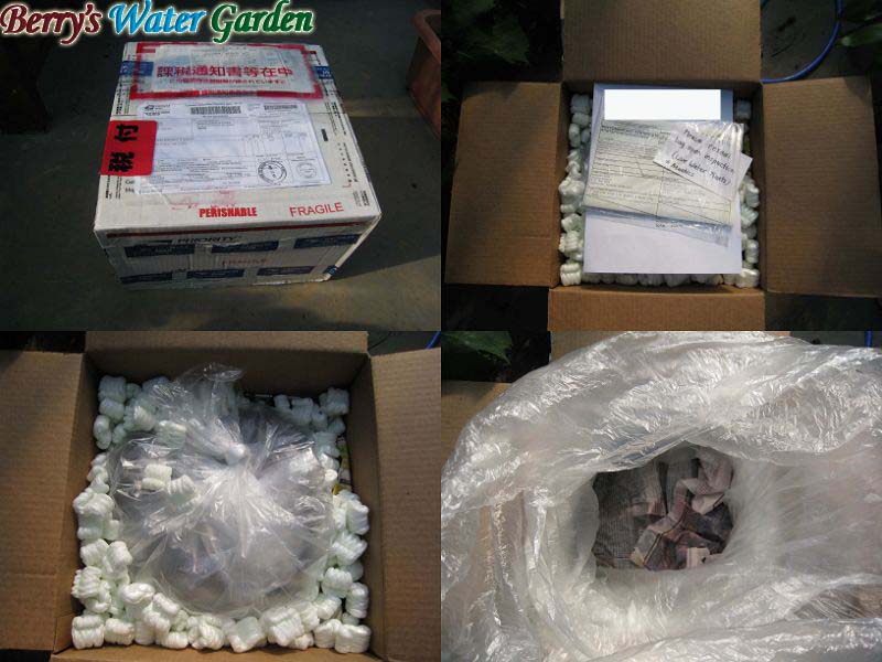 ��06��@�l�A��