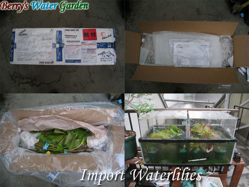 ��08��@�l�A��