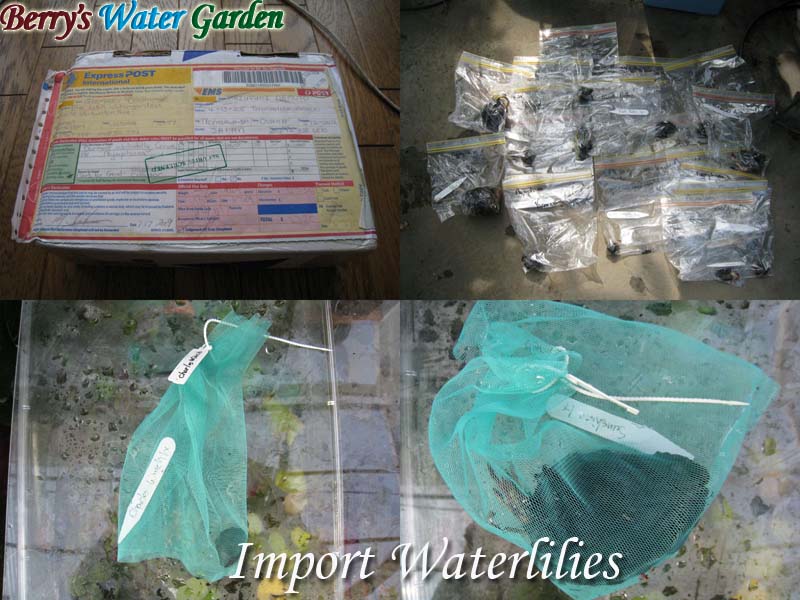 ��01��@���ی���