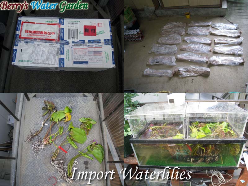 ��09��@�l�A��