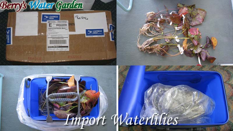 ��10��@�l�A��