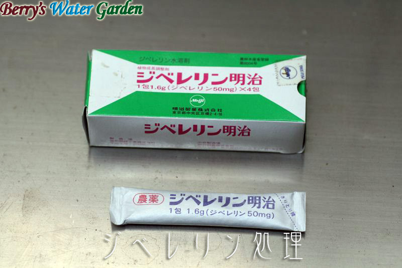 �p�y�̃��T�C�N��